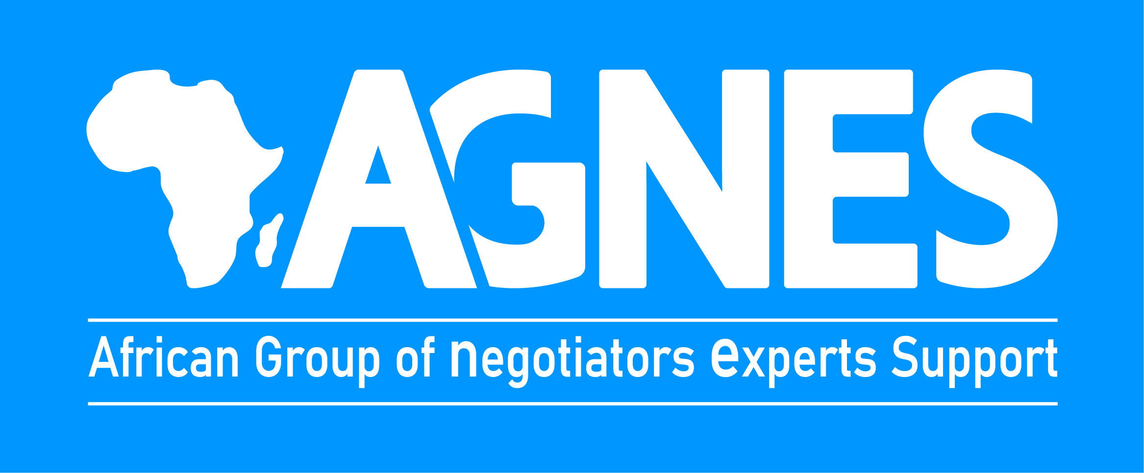 African Group of Negotiators Experts Support