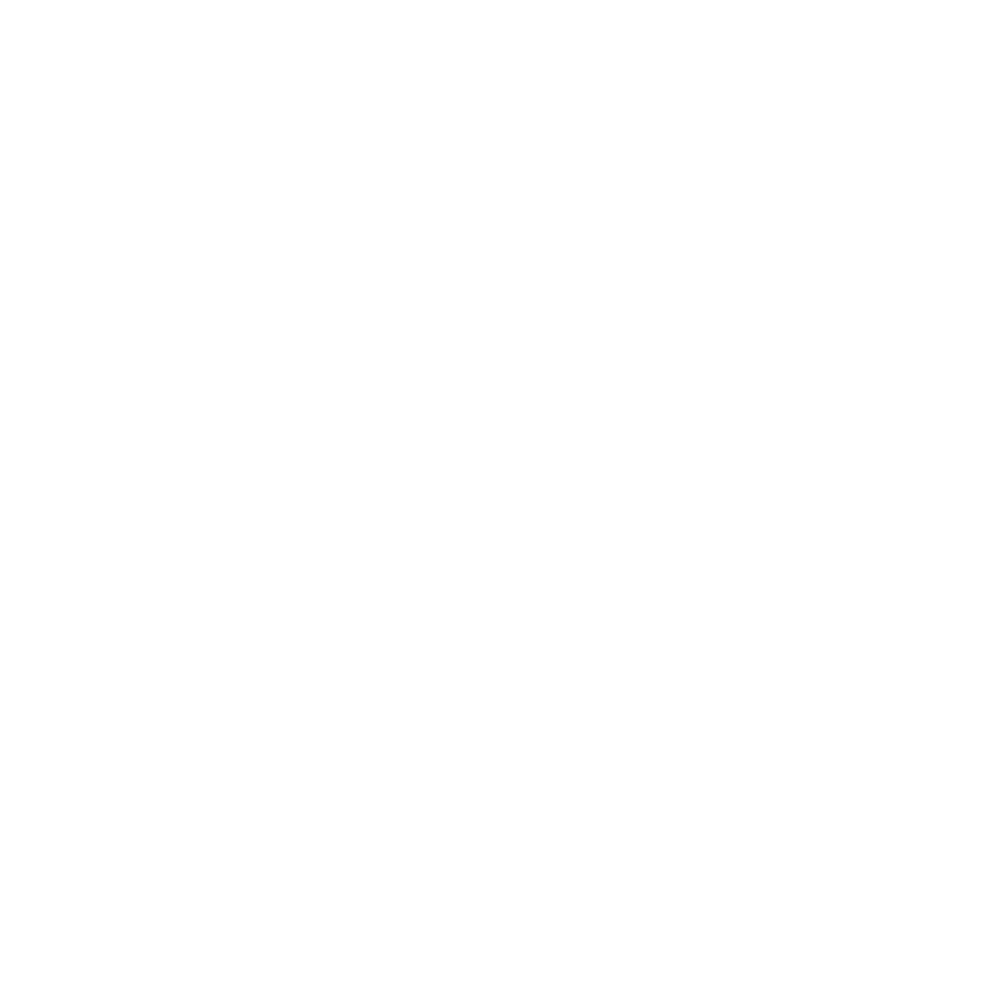 Santiago Network Logo